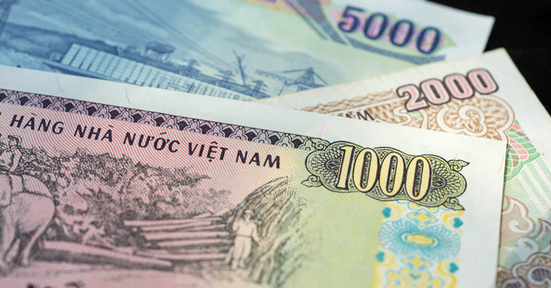 Vietnamese currency notes
