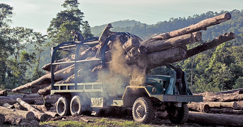 Loggers loading a truck with wood in Vietnam