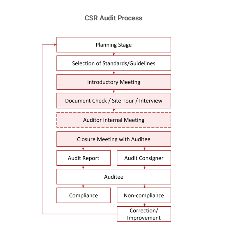 China CSR audit process