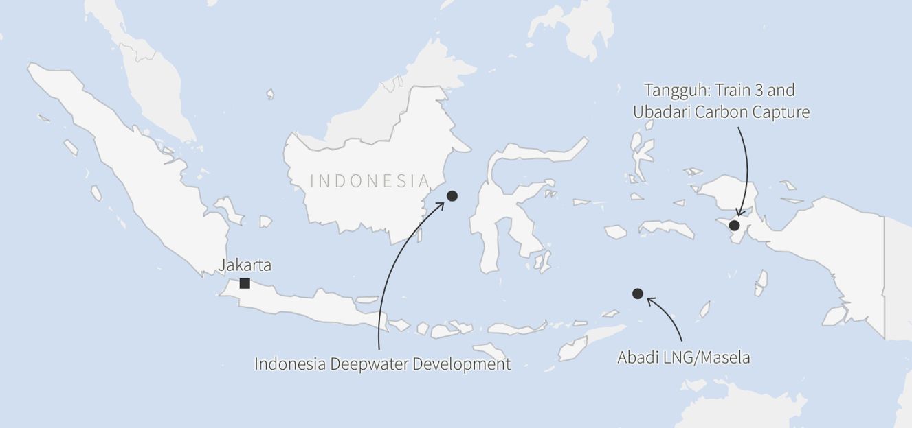Indonesia gas sector projects