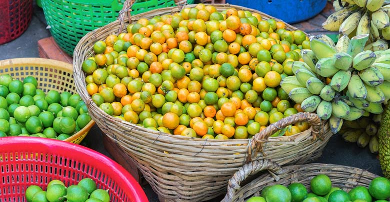 Fruit harvest in Vietnam