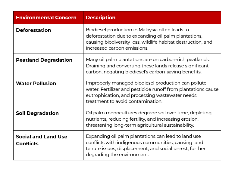 Table showing environmental concerns related to Malaysia's biodiesel business