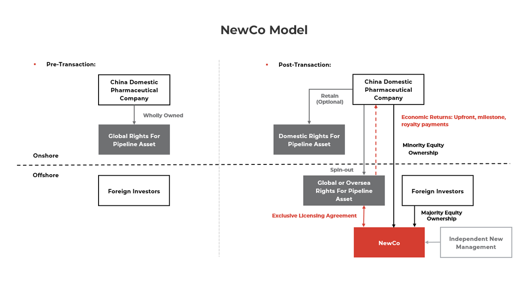 Diagram showing the NewCo Model